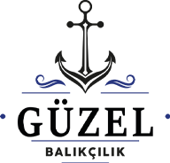 GÜZEL BALIKÇILIK